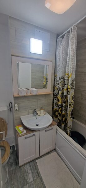 Theodor Pallady- 5 minute metrou