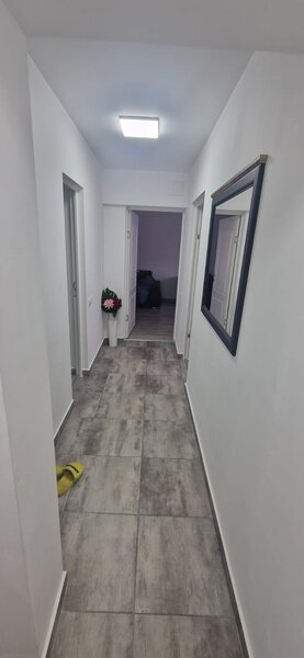 Theodor Pallady- 5 minute metrou